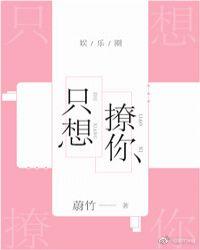 只想撩你封面