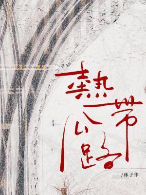 热带公路封面