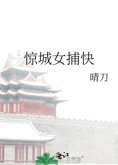 惊城女捕快封面