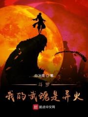 斗罗：我的武魂是异火封面
