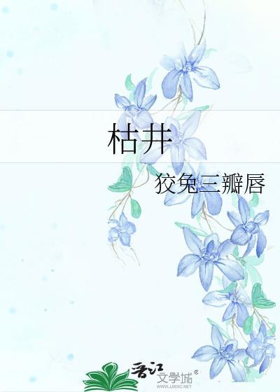 枯井封面
