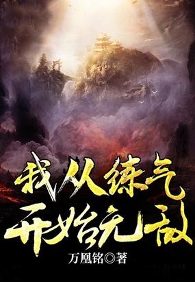 我从练气开始无敌封面