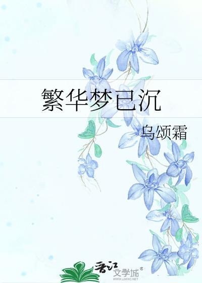 繁华梦已沈封面