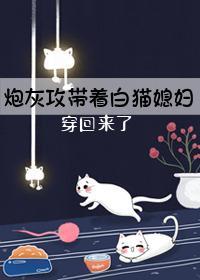 炮灰攻带着白猫媳妇穿回来了封面