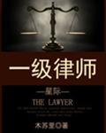 一级律师封面
