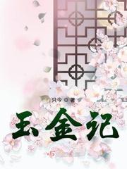 玉金记封面