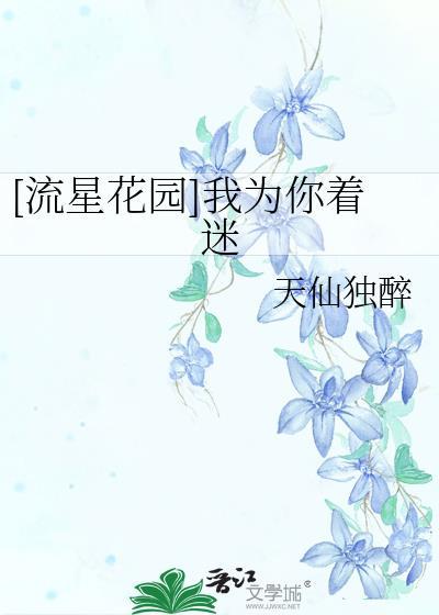 [流星花园]我为你着迷封面