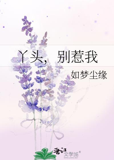 丫头,别惹我封面