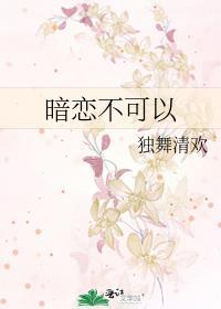 暗恋不可以封面
