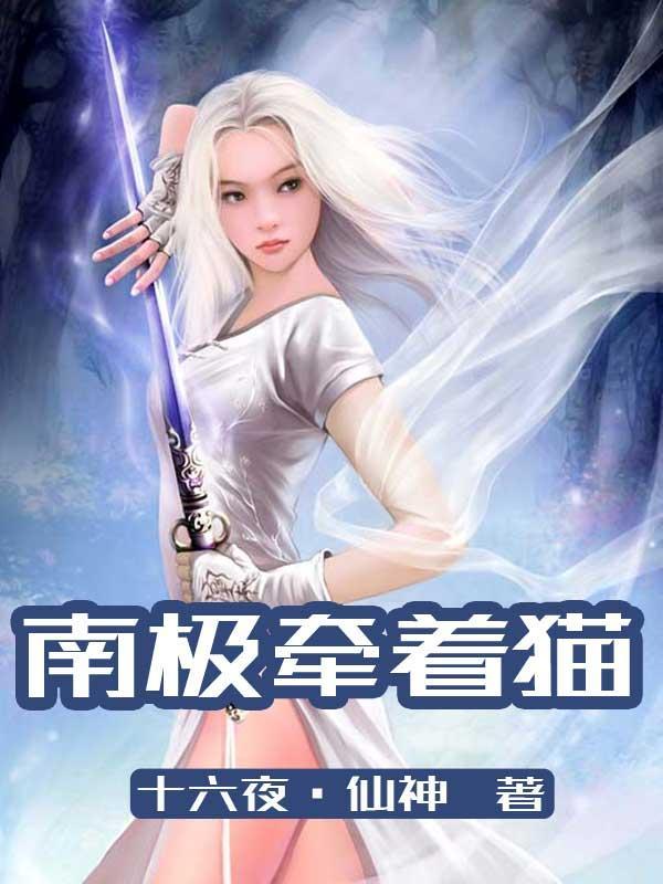 南极牵着猫封面