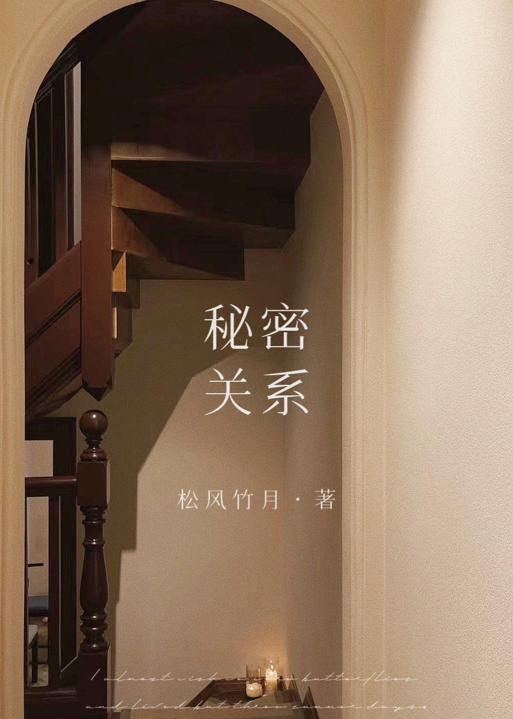 秘密关系封面