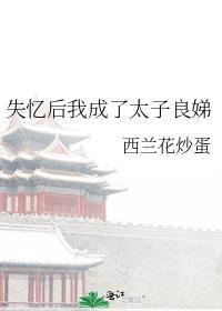 失忆后我成了太子良娣封面