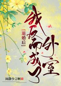 退婚后我反而成了外室封面