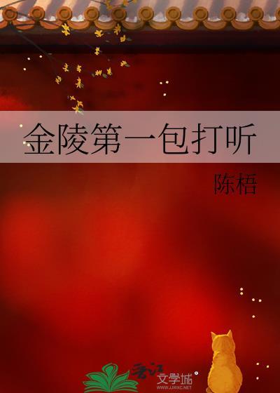 金陵第一包打听封面