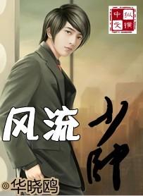 风流少帅封面
