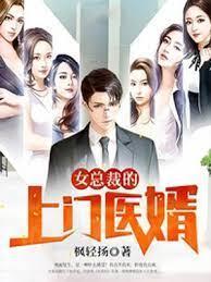 女总裁的上门医婿封面