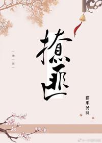 撩匪封面