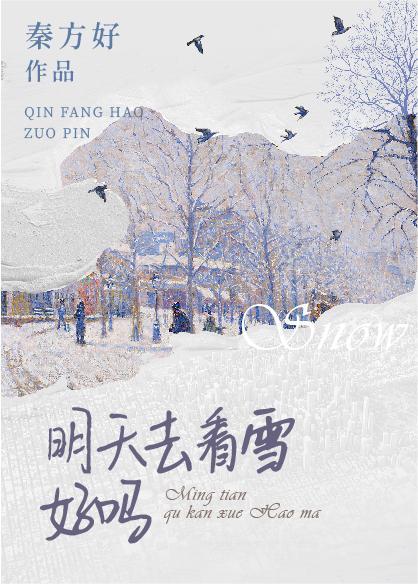 明天去看雪好吗封面