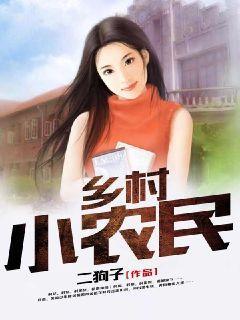 乡村小农民封面