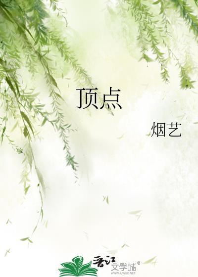 顶点封面