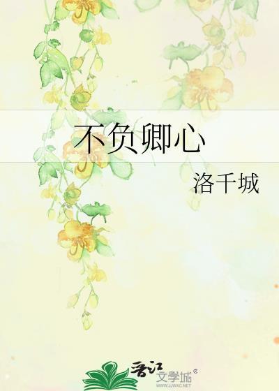 不负卿心封面