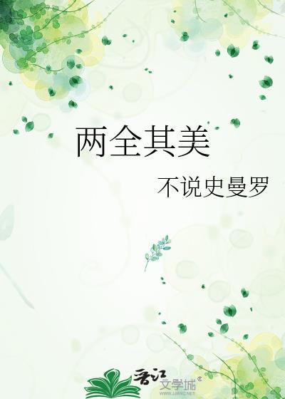 两全其美封面