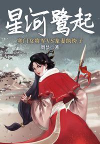 星河鹭起封面