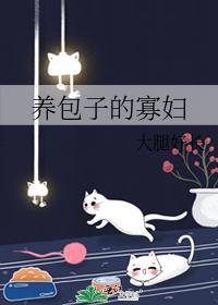 养包子的寡妇封面