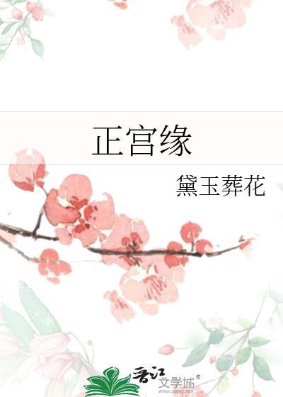 正宫缘封面