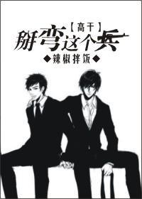 掰弯这个兵封面