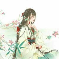 农门辣妻：将军追妻忙苏红珊韩夜霖封面