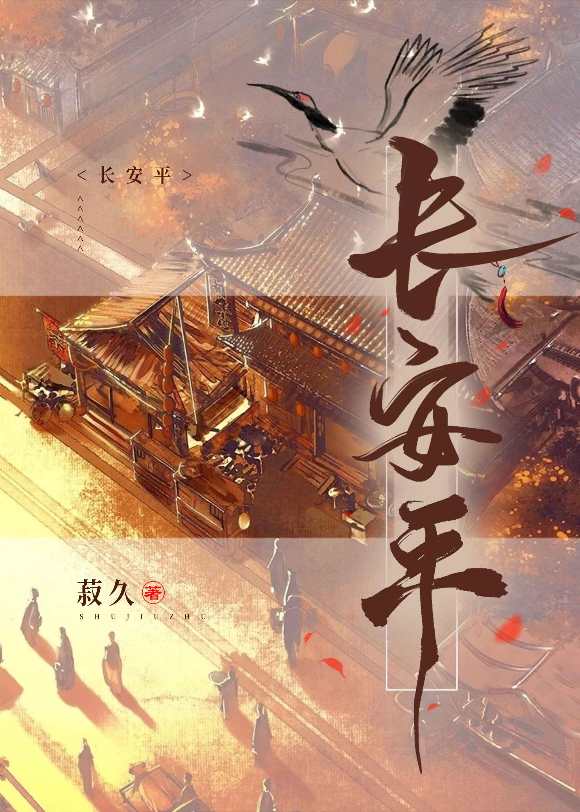 长安平封面