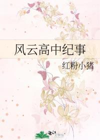 风云高中纪事封面
