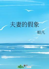 夫妻的假象封面