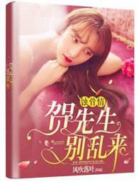 总裁大人别过来封面
