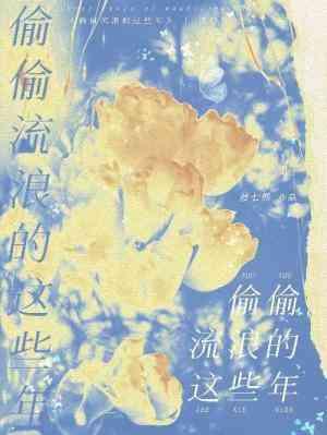 偷偷流浪的这些年封面