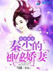 暖婚独宠：秦少的神秘娇妻封面