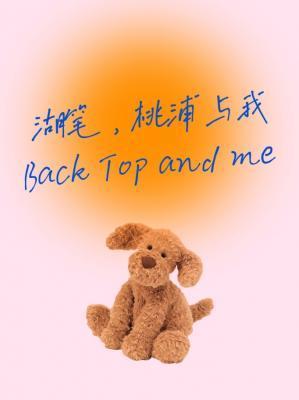 湖笔，桃浦与我封面