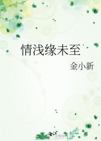 情浅缘未至封面