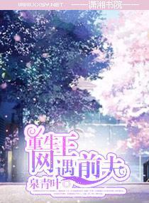 重生网王遇前夫封面