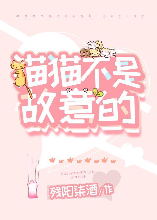 猫猫不是故意的封面