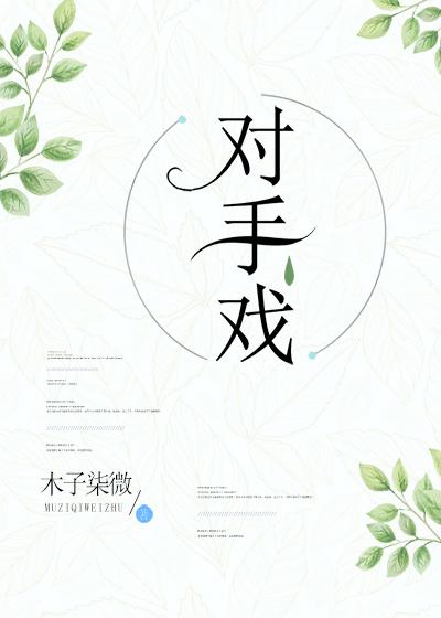 对手戏封面