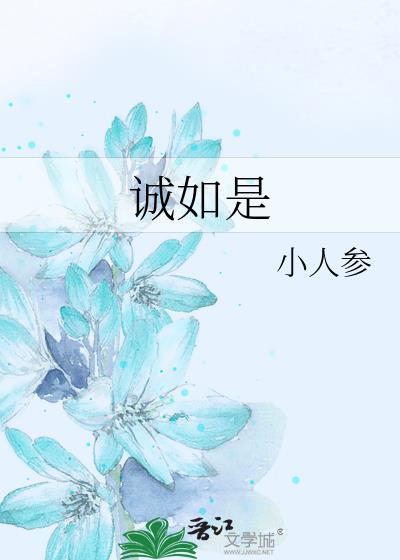 诚如是封面