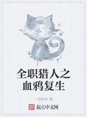 全职猎人之血鸦复生封面