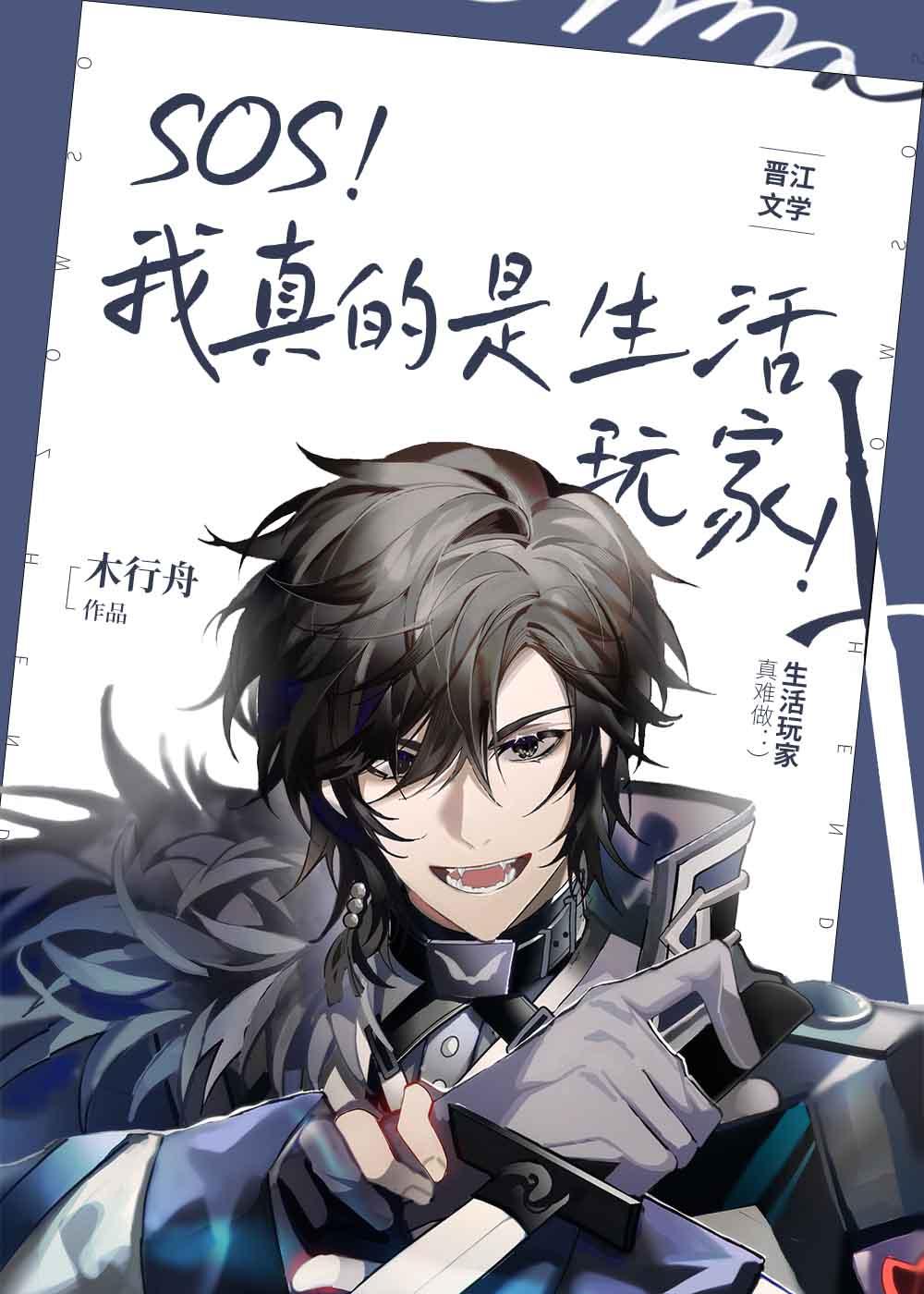 这是什么？虚假的生活玩家封面