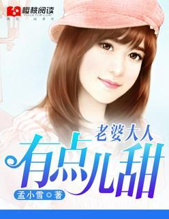 老婆大人有点儿甜封面