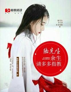 陆先生，余生请多多指教封面