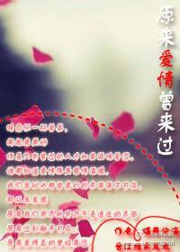 原来爱情曾来过封面
