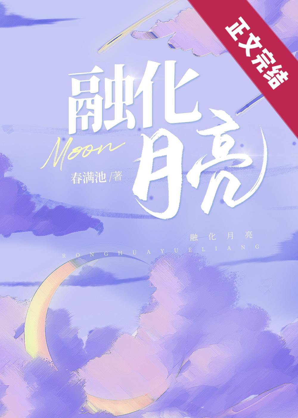 融化月亮封面