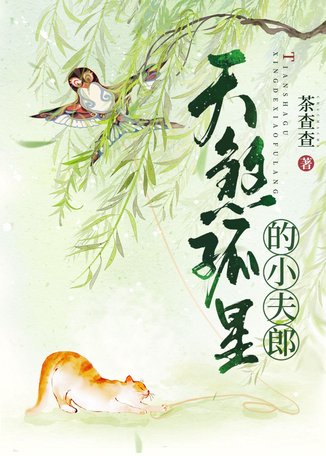 天煞孤星的小夫郎封面